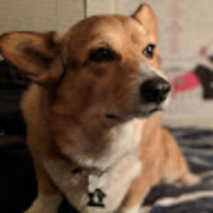 Meet your Posher, Lee